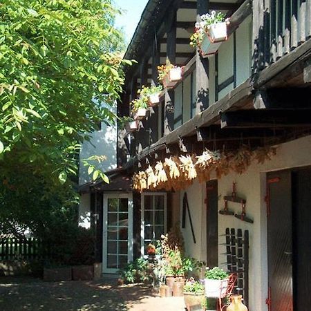 Hotel Garni & Oma'S Heuhotel 'Pension Zur Galerie' Barby Exterior foto